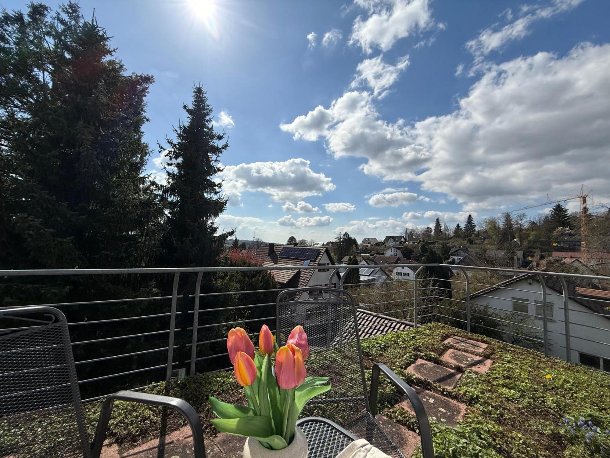 Ferienwohnung Schwarzwaldnest Lahr  Exterior foto